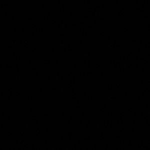 Meet your Posher, Aneesah